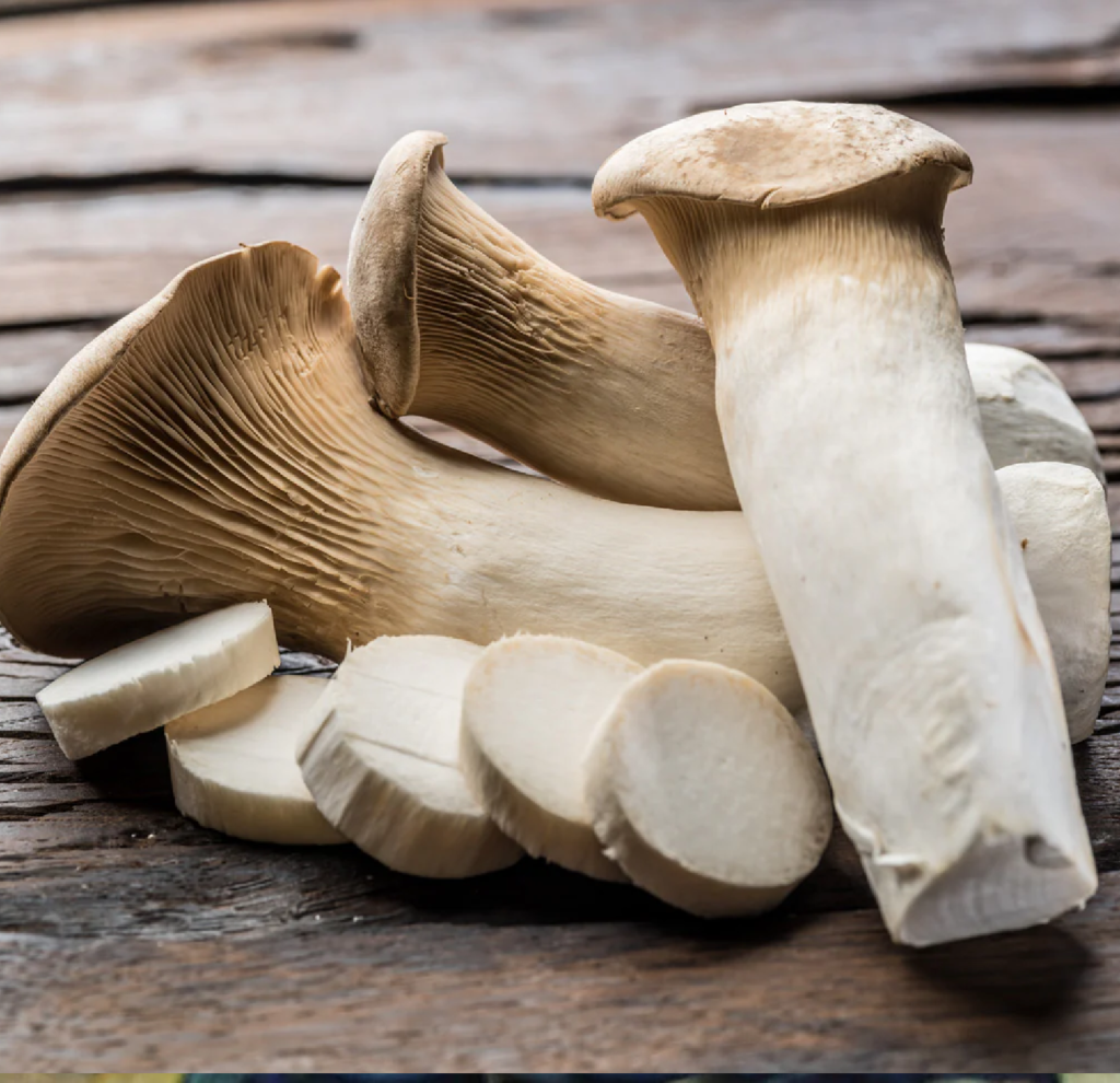 King Oyster Mushrooms - Mission Bottom Farm Stand