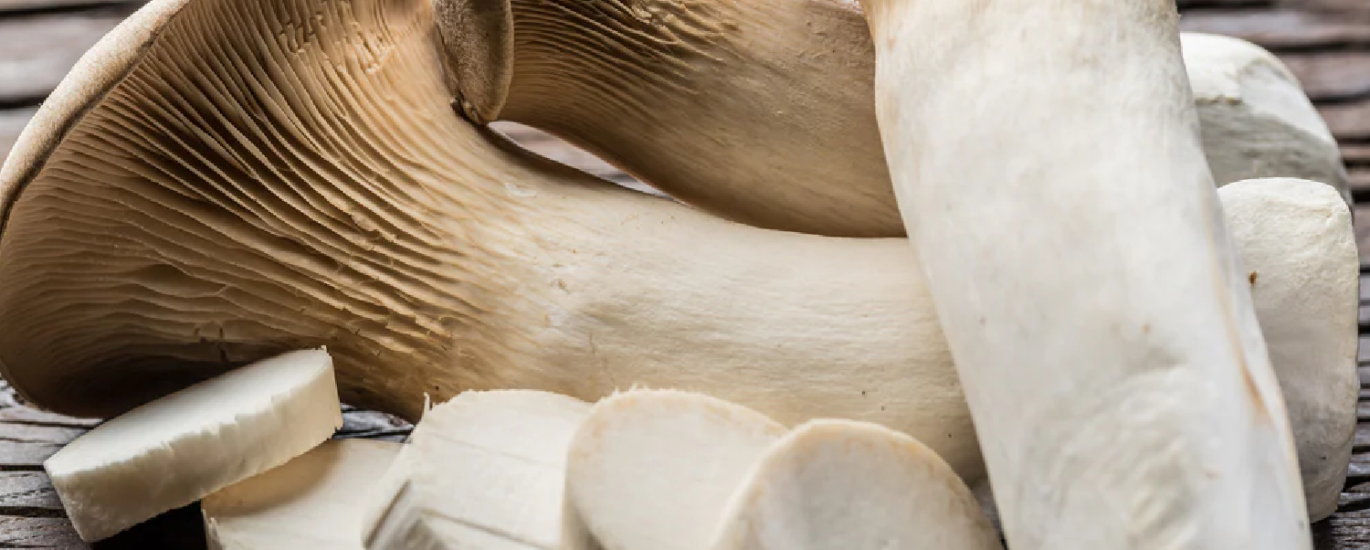 King Oyster Mushrooms - Mission Bottom Farm Stand