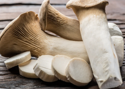 King Oyster Mushrooms - Mission Bottom Farm Stand